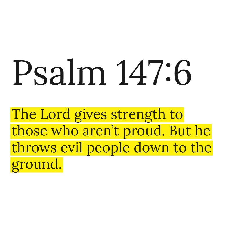 Holy Bible tweet media