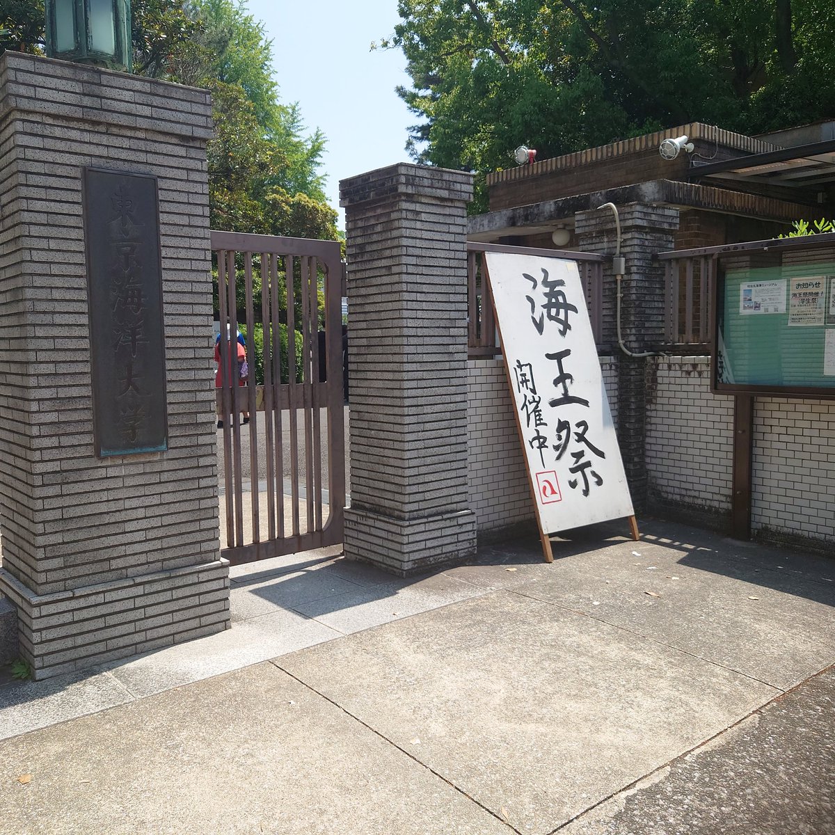 jokou@悠月推し/藤志高バスケ部PG tweet media