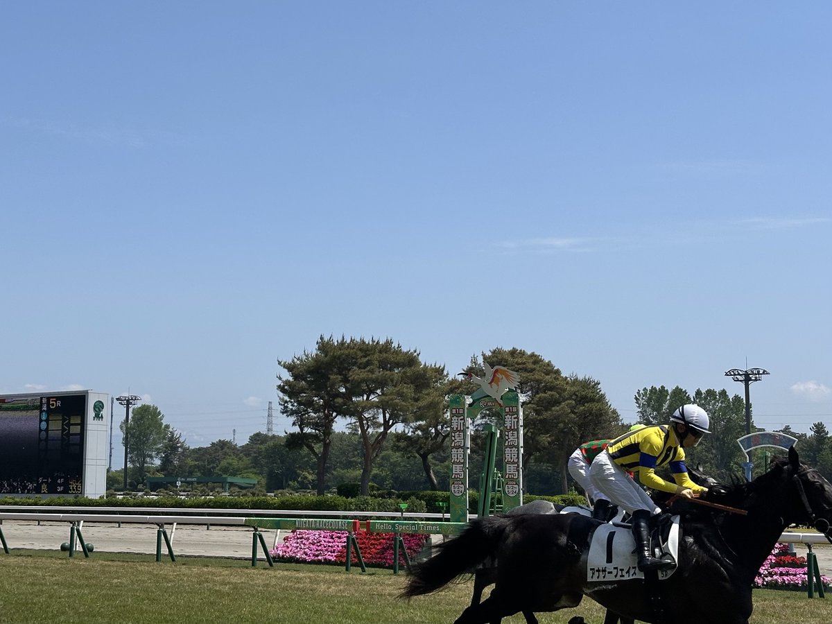 ksorigin's tweet photo. 新潟競馬🏇 https://t.co/rWXenNMZbR