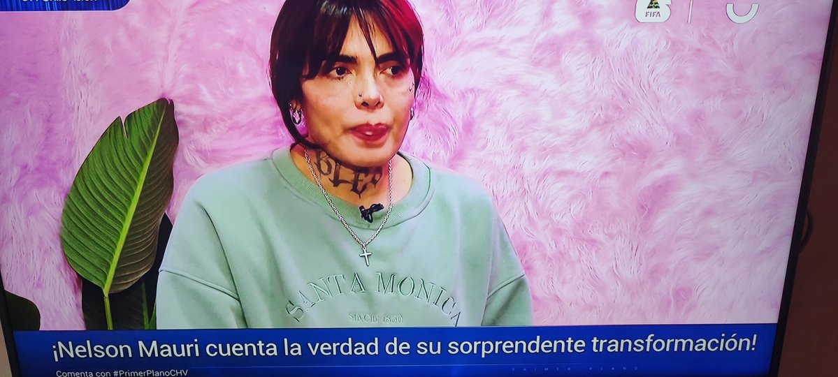 Josefa tweet media