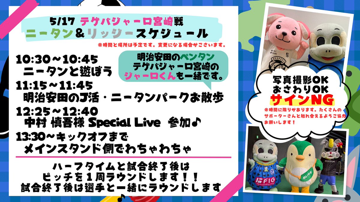 ニータン（ほんもの） tweet media