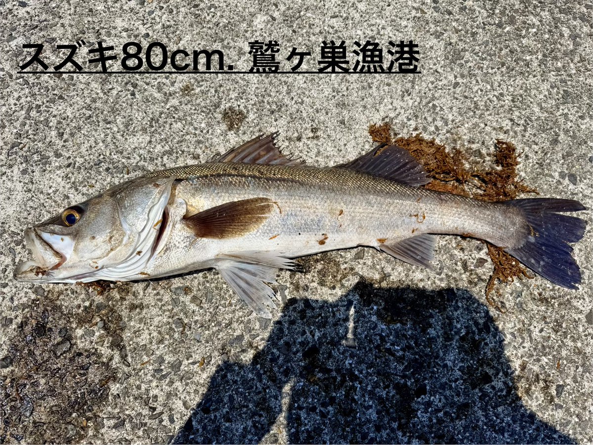 ともあき tweet media