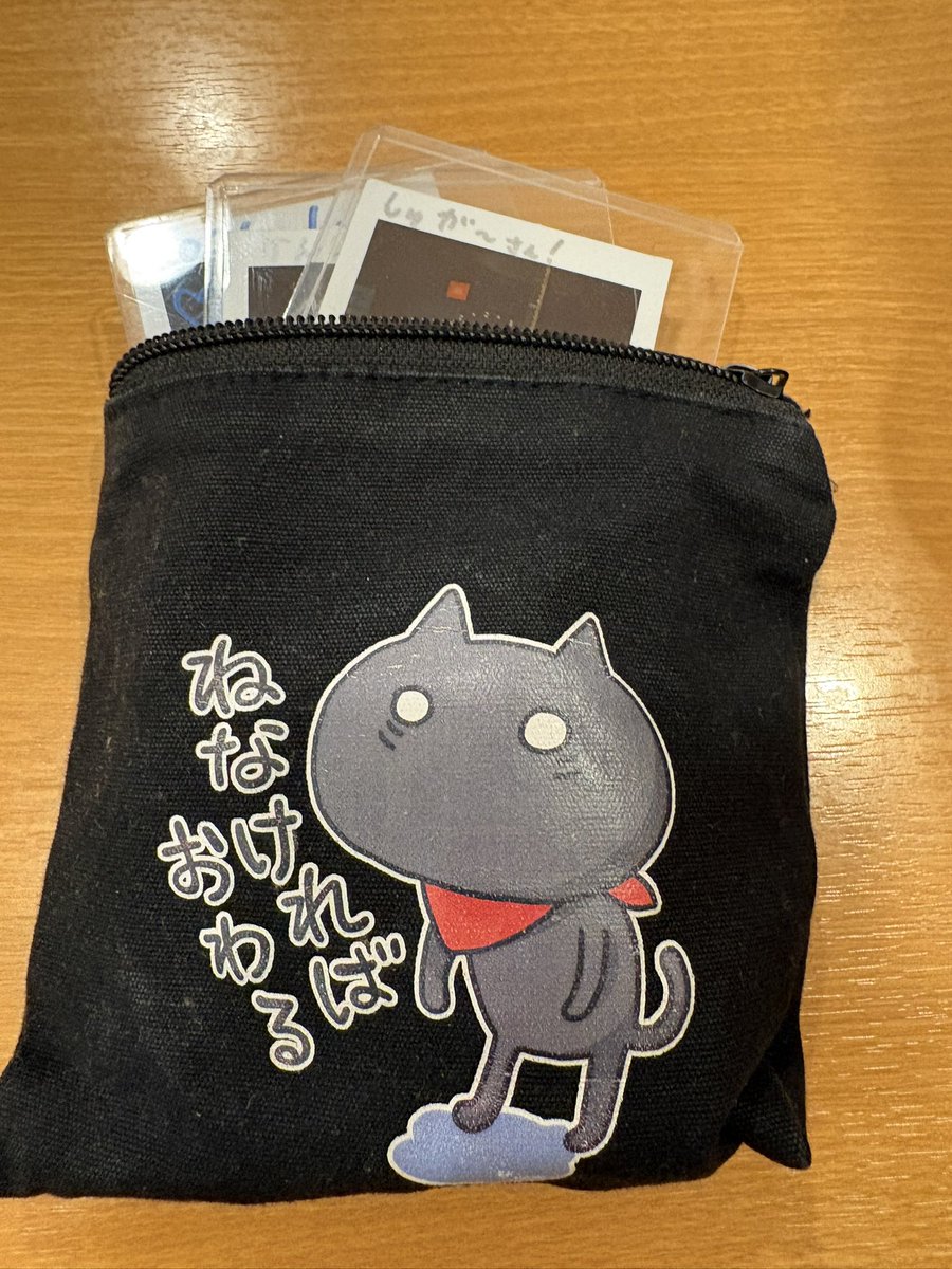 このポーチこんなにモノ入るんだww有能w