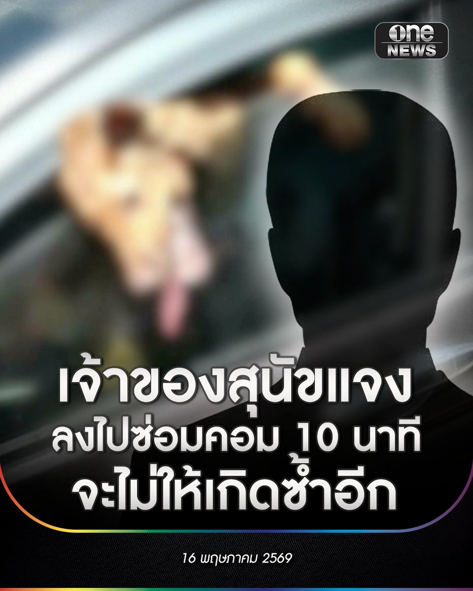 ข่าวช่องวัน tweet media