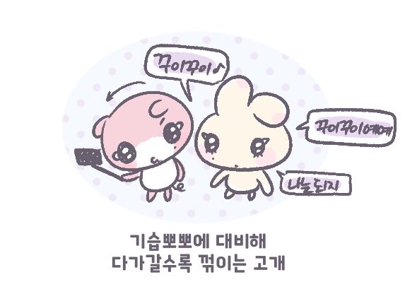 타쓰 tweet media