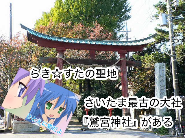 花雨蓮🌸🦈🪷 tweet media