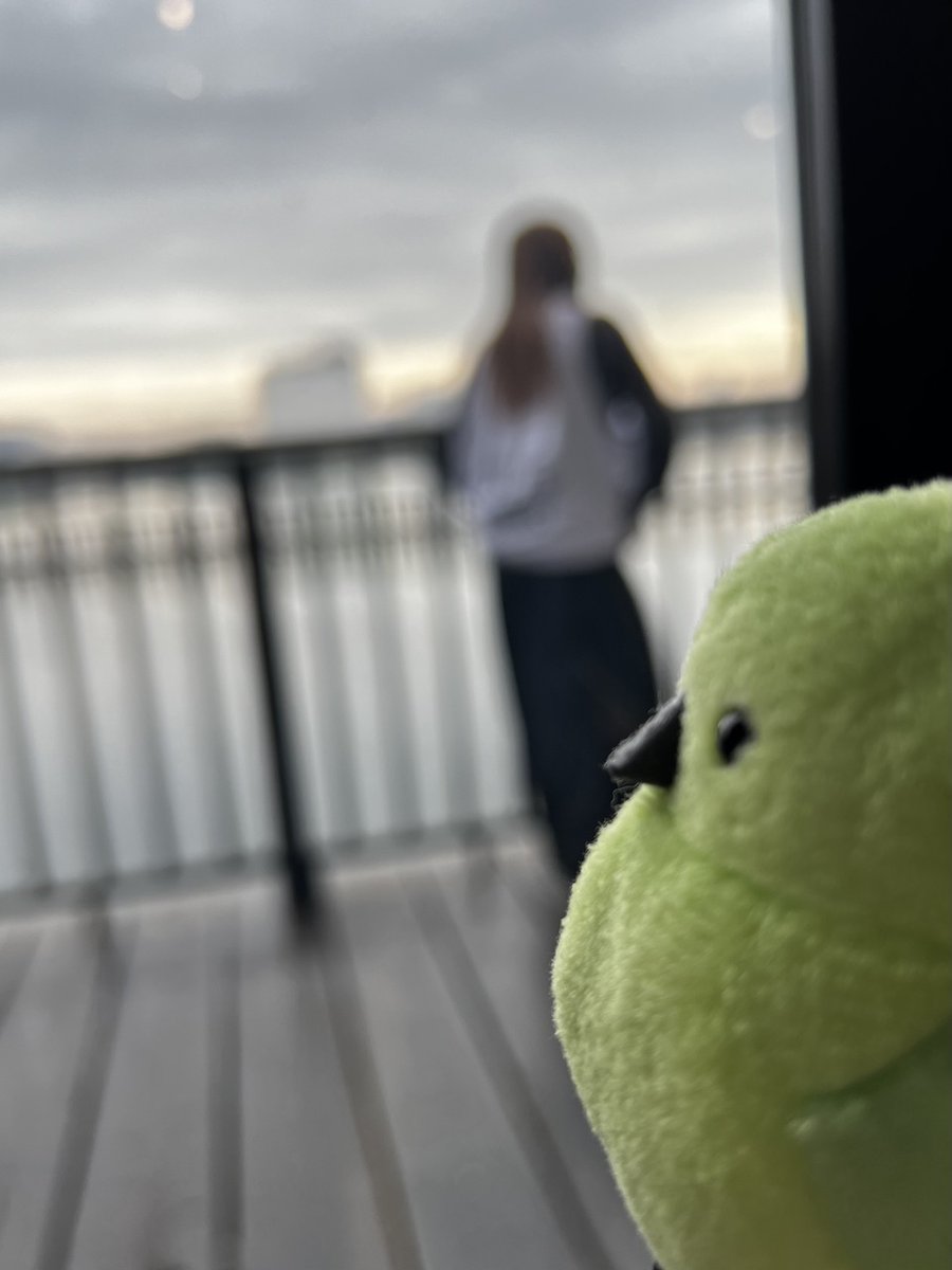 櫻坂46 tweet media