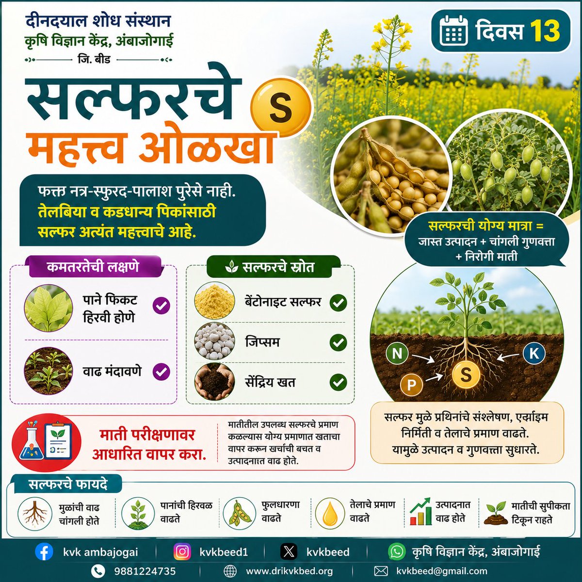 kvkbeed's tweet photo. सल्फरचे महत्त्व ओळखा 🟡

फक्त नत्र-स्फुरद-पालाश पुरेसे नाही. तेलबिया व कडधान्य पिकांसाठी सल्फर अत्यंत महत्त्वाचे आहे.

👉 कमतरतेची लक्षणे:
✔️ पाने फिकट हिरवी होणे
✔️ वाढ मंदावणे

👉 स्रोत:
✔️ बेंटोनाइट सल्फर
✔️ जिप्सम
✔️ सेंद्रिय खत

📌 माती परीक्षणावर आधारित वापर करा. https://t.co/8fleJIJENi