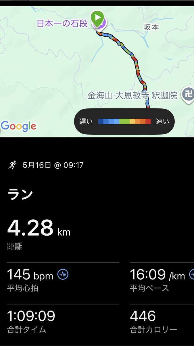 r_8630's tweet photo. 日本一の石段までロードバイクで行き､3333段登って降りてまたロードバイクで帰るアホなことをしてきました｡ https://t.co/mizGZOf2C6