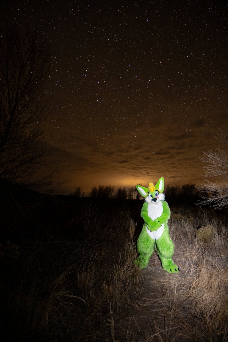 Ascari Husky @AO/AC/COLORADO/MP/MFF tweet media