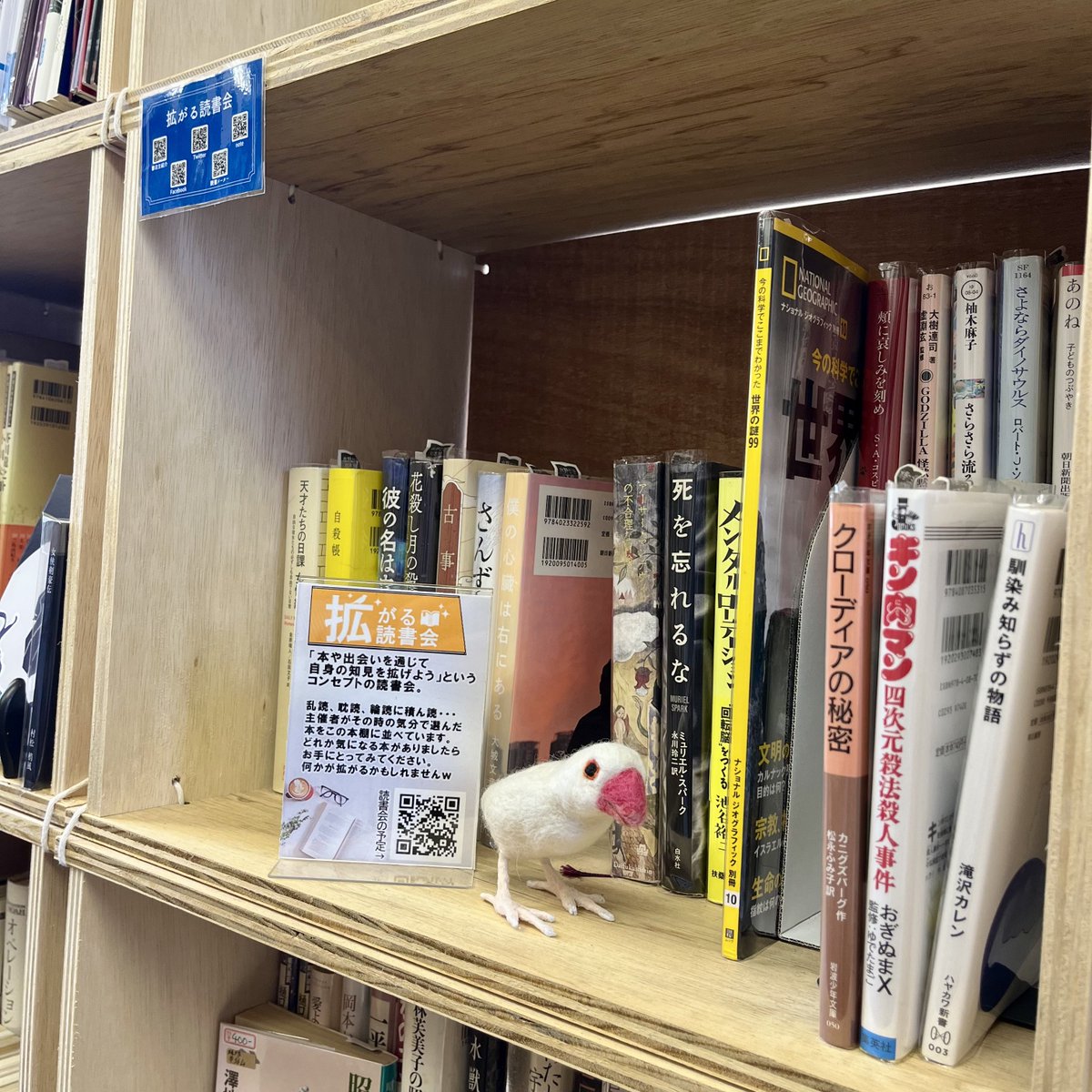 水野ゼミの本屋 村松梢風『女侠剣豪伝』 武林文子『この女を見よ』復刊 tweet media
