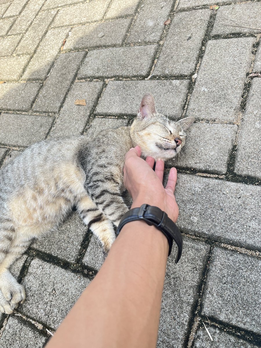 Masdhytt's tweet photo. Maen ama koeceng 🤏🏻 https://t.co/yPPZH2yxed