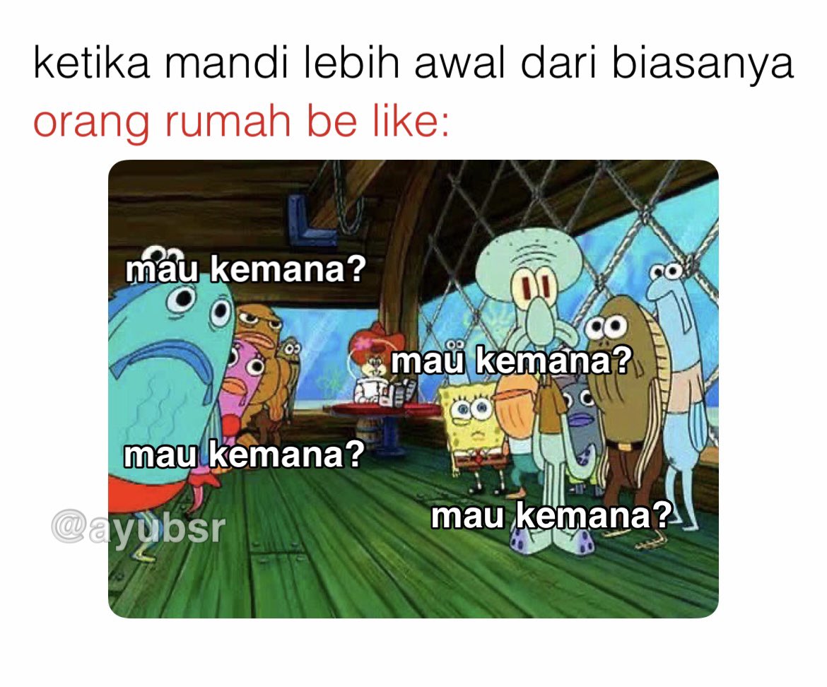 Ayu tweet media