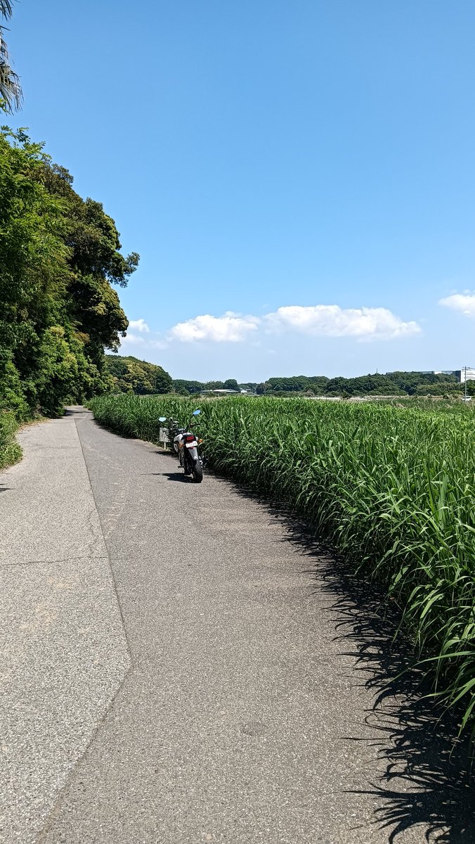 まるよ (@maruyo_) on X