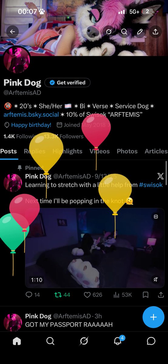 Pink Dog tweet media