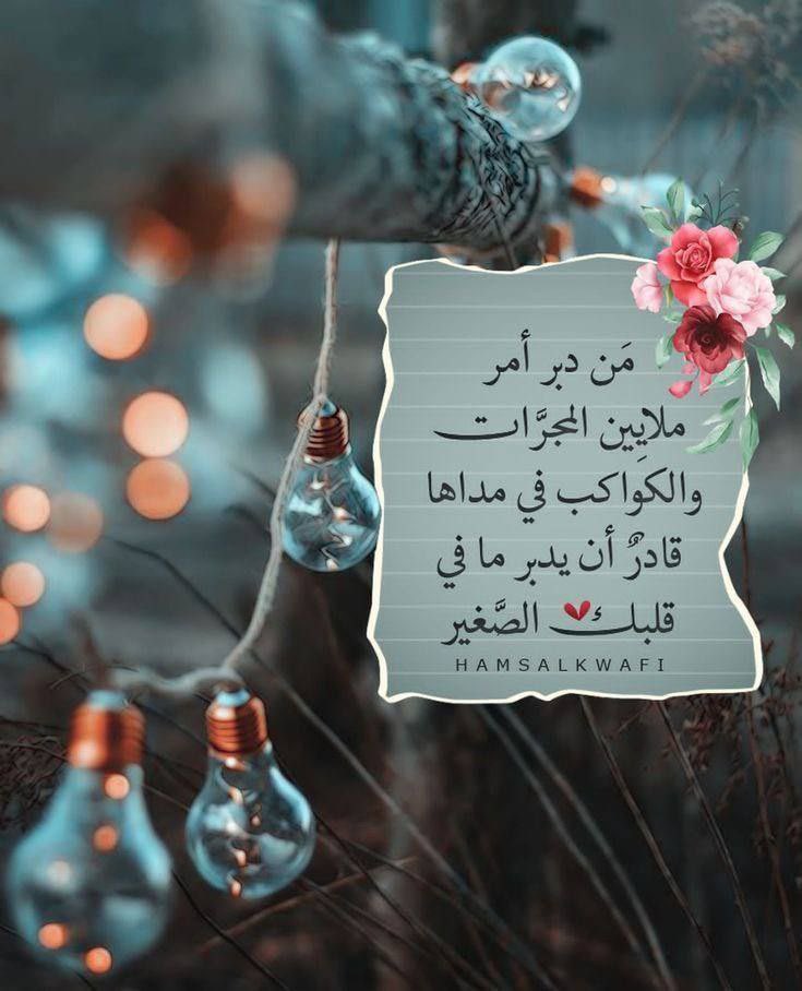 عائشـــــه 🌸✨ tweet media