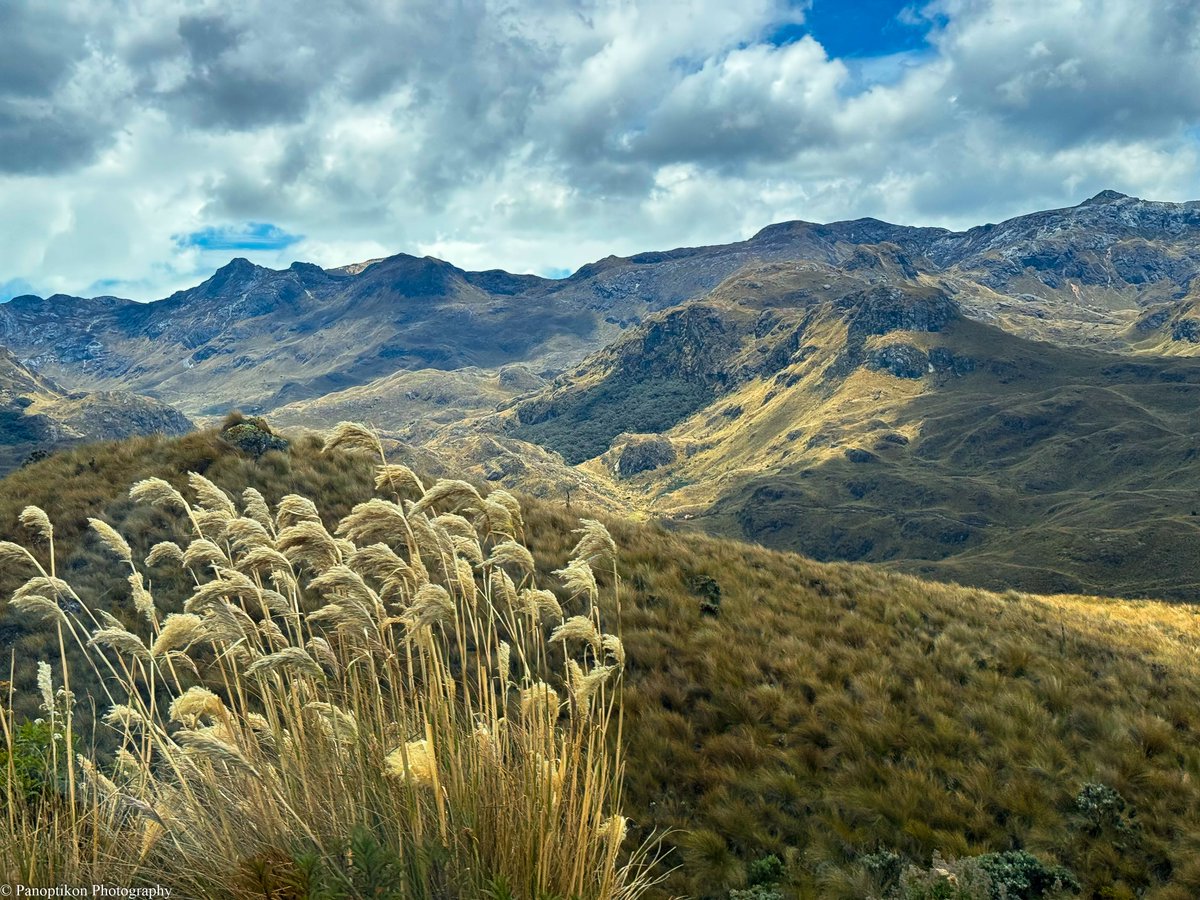 PhotoPanoptikon's tweet photo. @LoraleeLogan Passing through the southern Ecuadorian Highlands really fast in a taxi. Some of the most striking landscapes I have ever seen...
@PhotoPanoptikon
#cellphonepics #landscapephotography #iphonephotography #travelphotography https://t.co/oL14AO4U2p