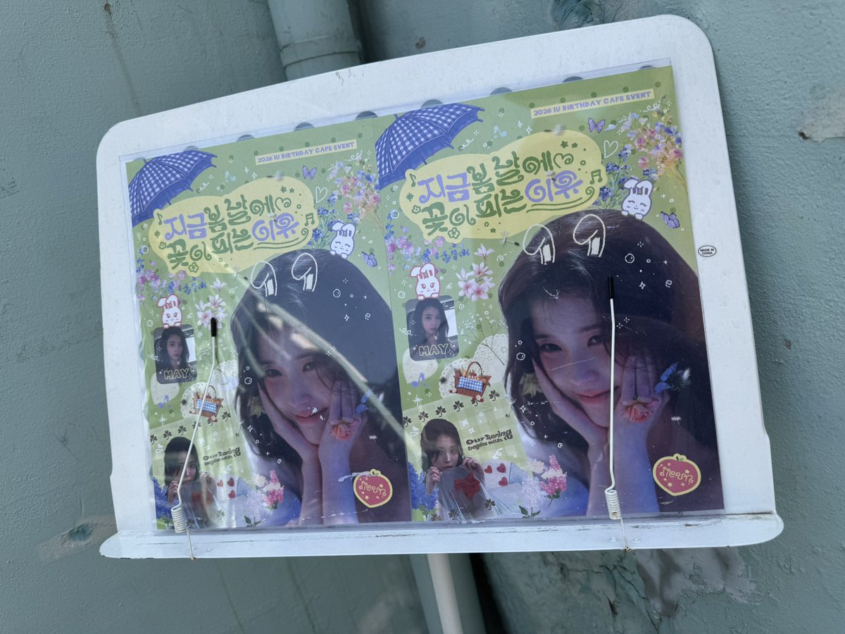 logging_516's tweet photo. #지금봄날에꽃이피는이유
#HAPPY_IU_DAY https://t.co/gSfKDpJsQ6