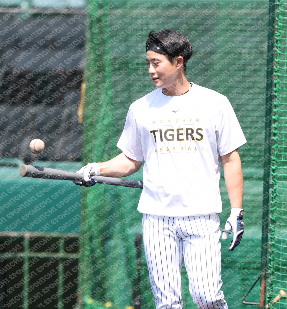 スポニチTIGERSフォト tweet media