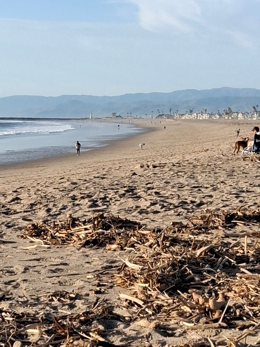serius18's tweet photo. California is a magical place. https://t.co/dDvQ7znov5