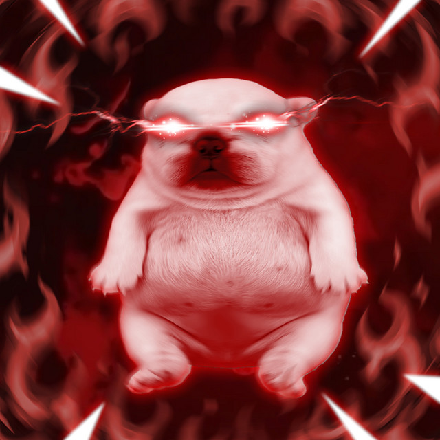 Plog tweet media