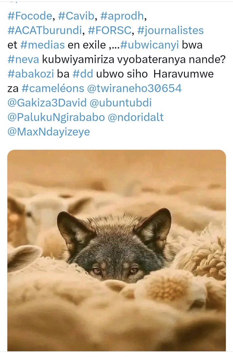 pacifiqueNdayi2's tweet photo. @Nzungupmm Abantu bari #Belgique na #Europe, mwaruciye murarumira ,mutererana ubwoko coalition #DDfdlr ya #NevaKisekedi: muri ibihemu, murahinyutse! https://t.co/dSifN7QPIU