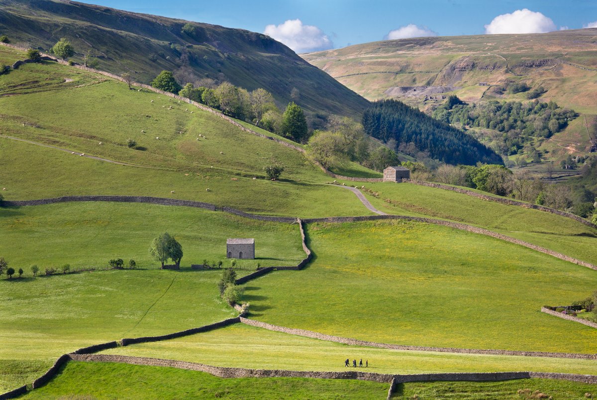 yorkshire_dales's tweet photo. Happy Saturday! If you're in the National Park this weekend, please:

 🔥 No Fires or BBQs
🚮 Take all your litter home 
🐕‍🦺 Keep dogs on a lead to protect you, livestock, and ground-nesting birds

Thank you 🙏 

📸 Swaledale by Wendy McDonnell https://t.co/5alwzKAZqf