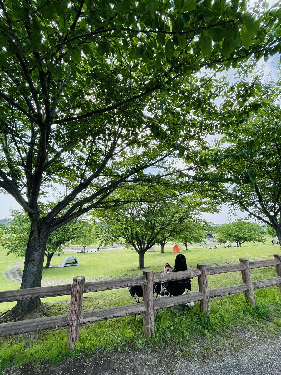 kenken (@kenken26679105) / Posts / X