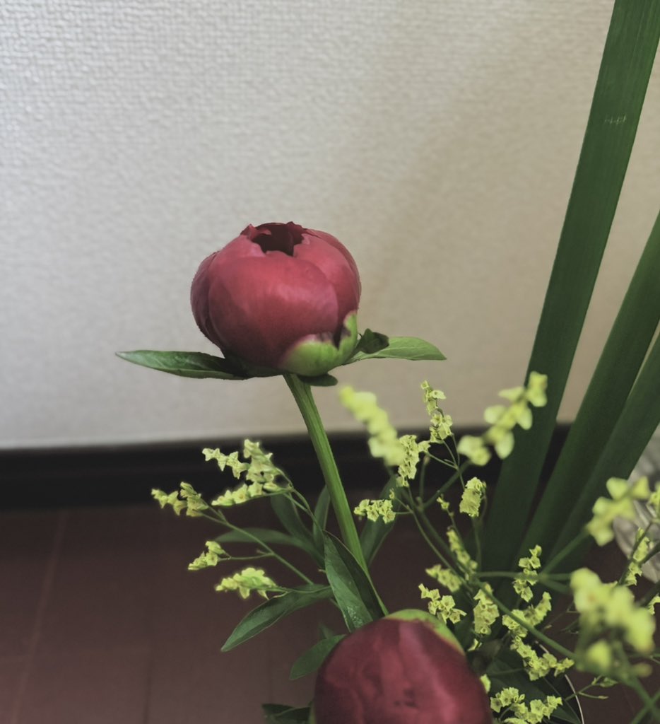 わるいにく tweet media