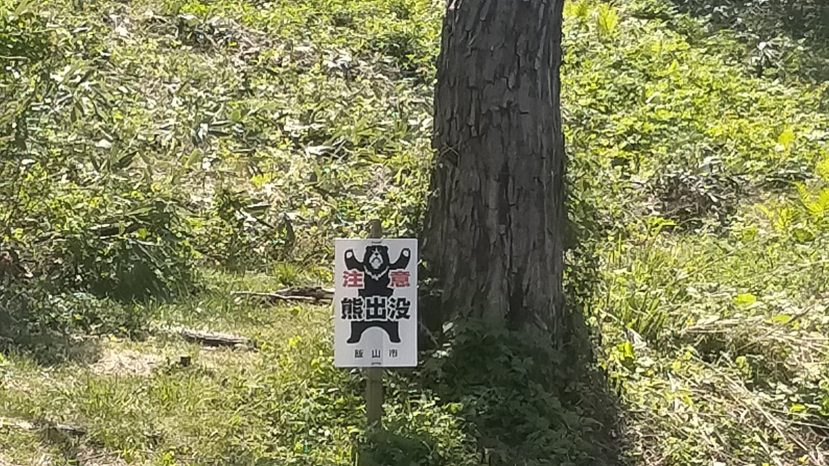 ウモ【埋もれた古城】 tweet media