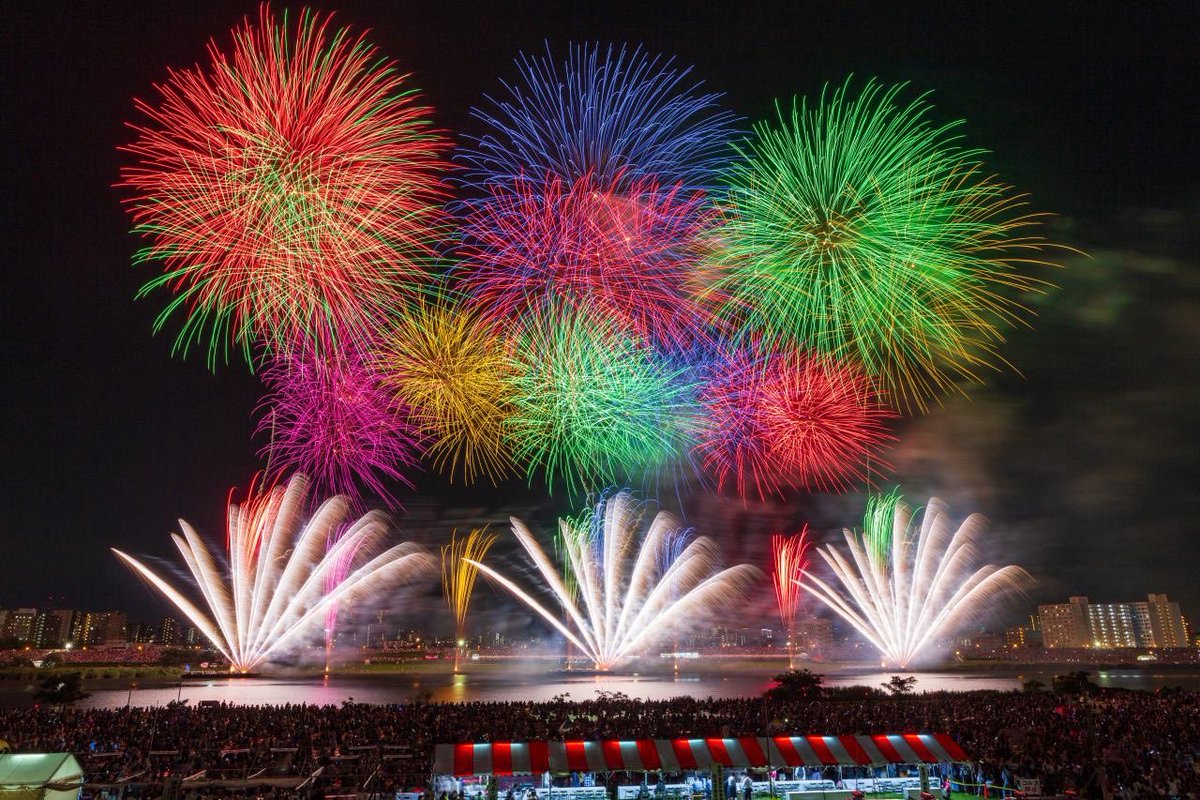 Nomine(ノミニー)公式 tweet media