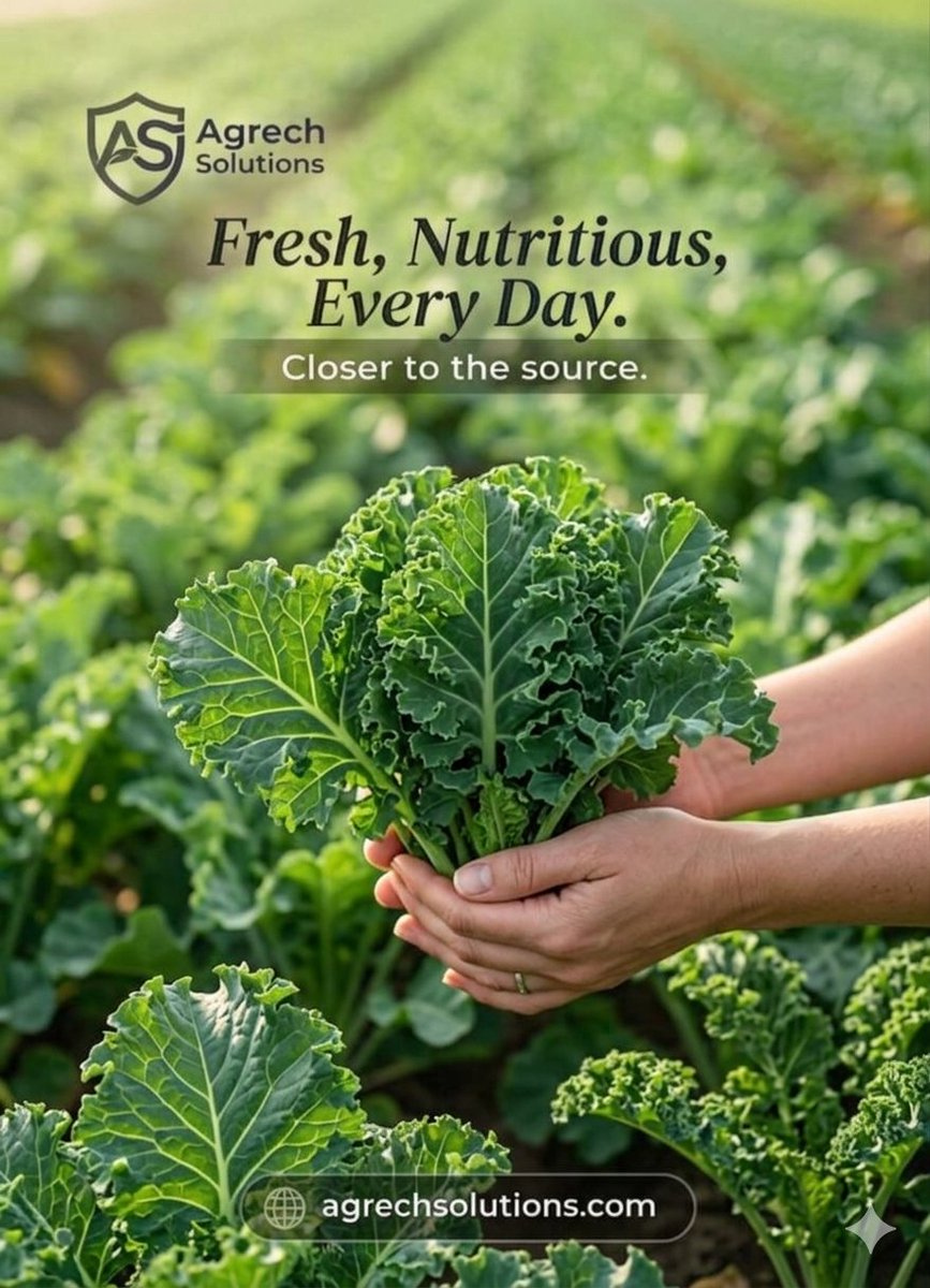 agrech_solution's tweet photo. Closer to the farm. Closer to freshness. 🌱
Agrech Solutions is focused on creating smarter agricultural connections that support farmers, reduce waste, and keep fresh produce moving efficiently. 
#AgrechSolutions #AgriTech #FreshProduce #SmartFarming https://t.co/7uw22dfRh0