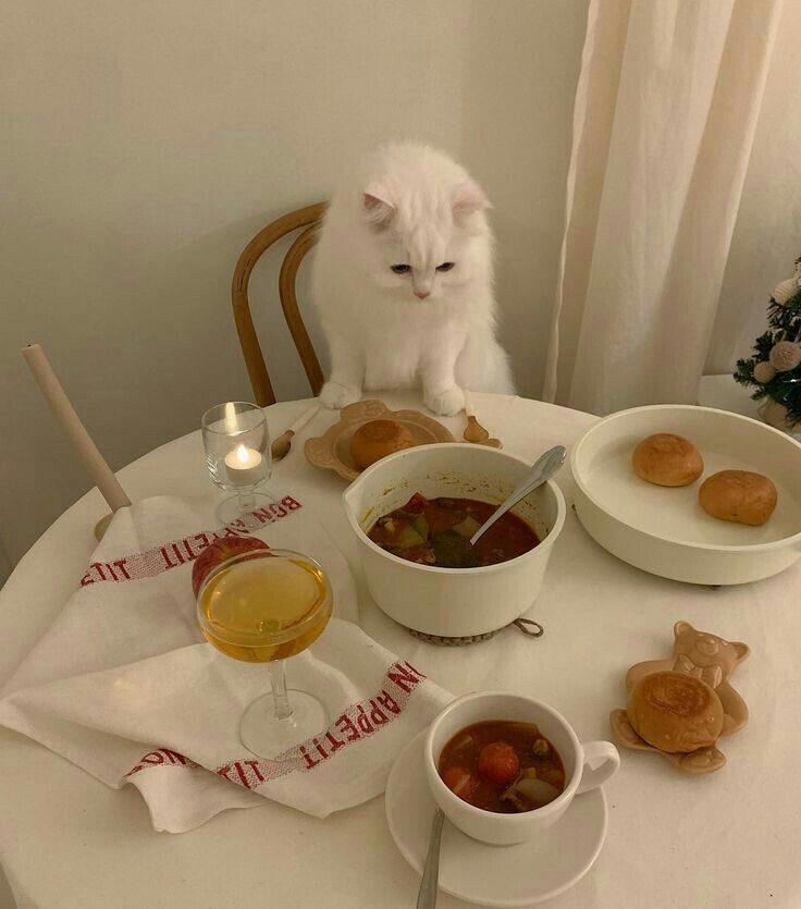 🍼uwu y쭌 우유🐾🏀 tweet media