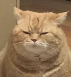 𝐏𝐞ꕥ𝐝𝐢𝐢𝕞𝐞𐒡 ˚。𐙚 tweet media