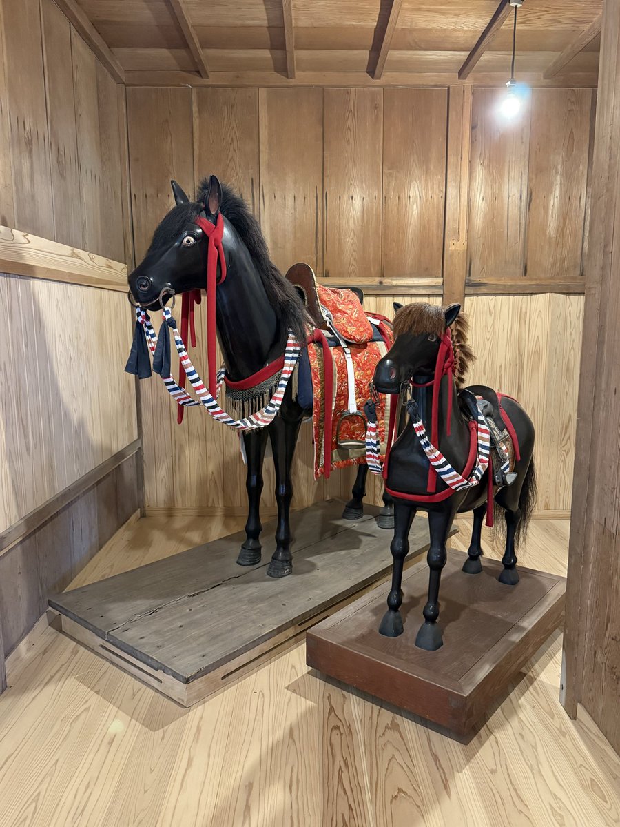 Ruby . 日常では得られない感動を体験🐎継続は力なり🐴🪽♥️乗馬♥️ルン♥️ tweet media