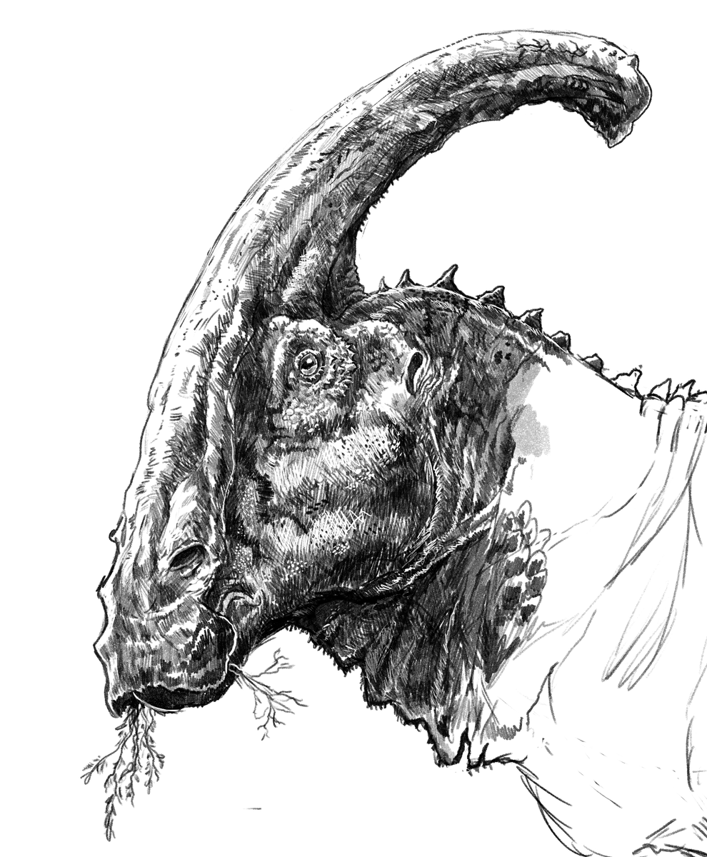 Talesmatico's tweet photo. Parasaurolophus que eu fiz no tédio, não vou terminar. https://t.co/1VMAgqNLgO