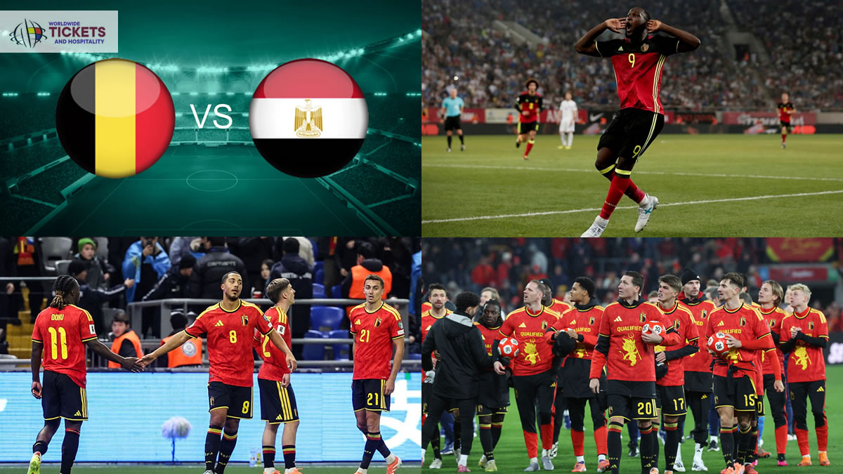 FIFA World Cup Tickets tweet media