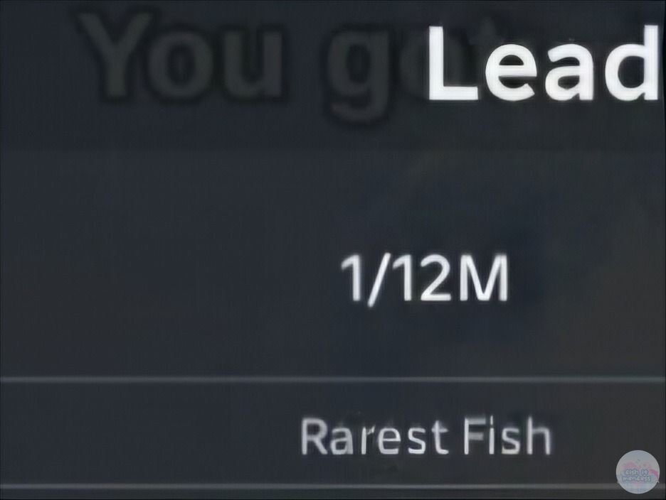 FISH IT FESS ‼️ WTT CANTUMIN UNAME tweet media