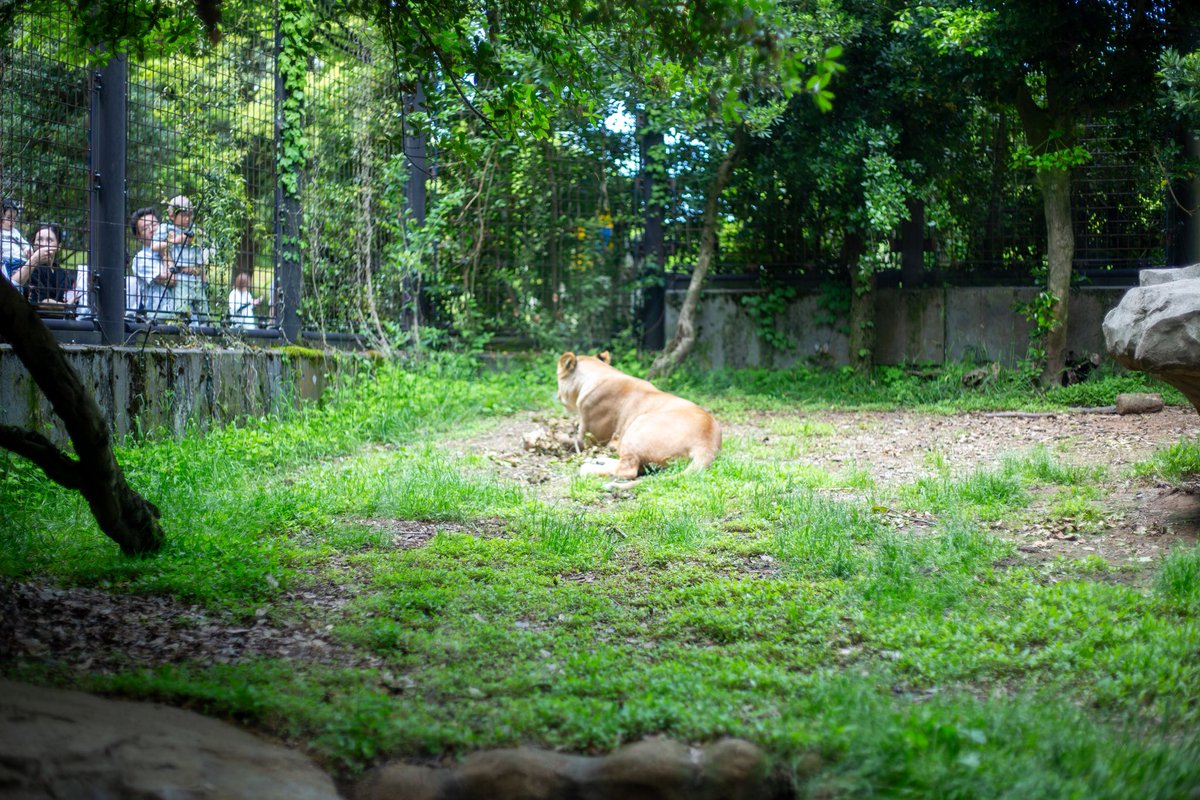 taboyan_320's tweet photo. 動物園よかった〜 https://t.co/5Pz4OBYWjV