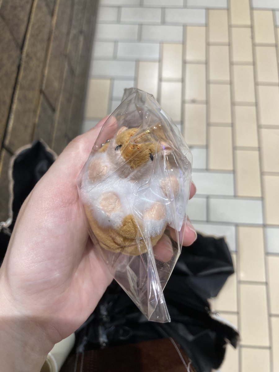 もふもふさん♪ tweet media