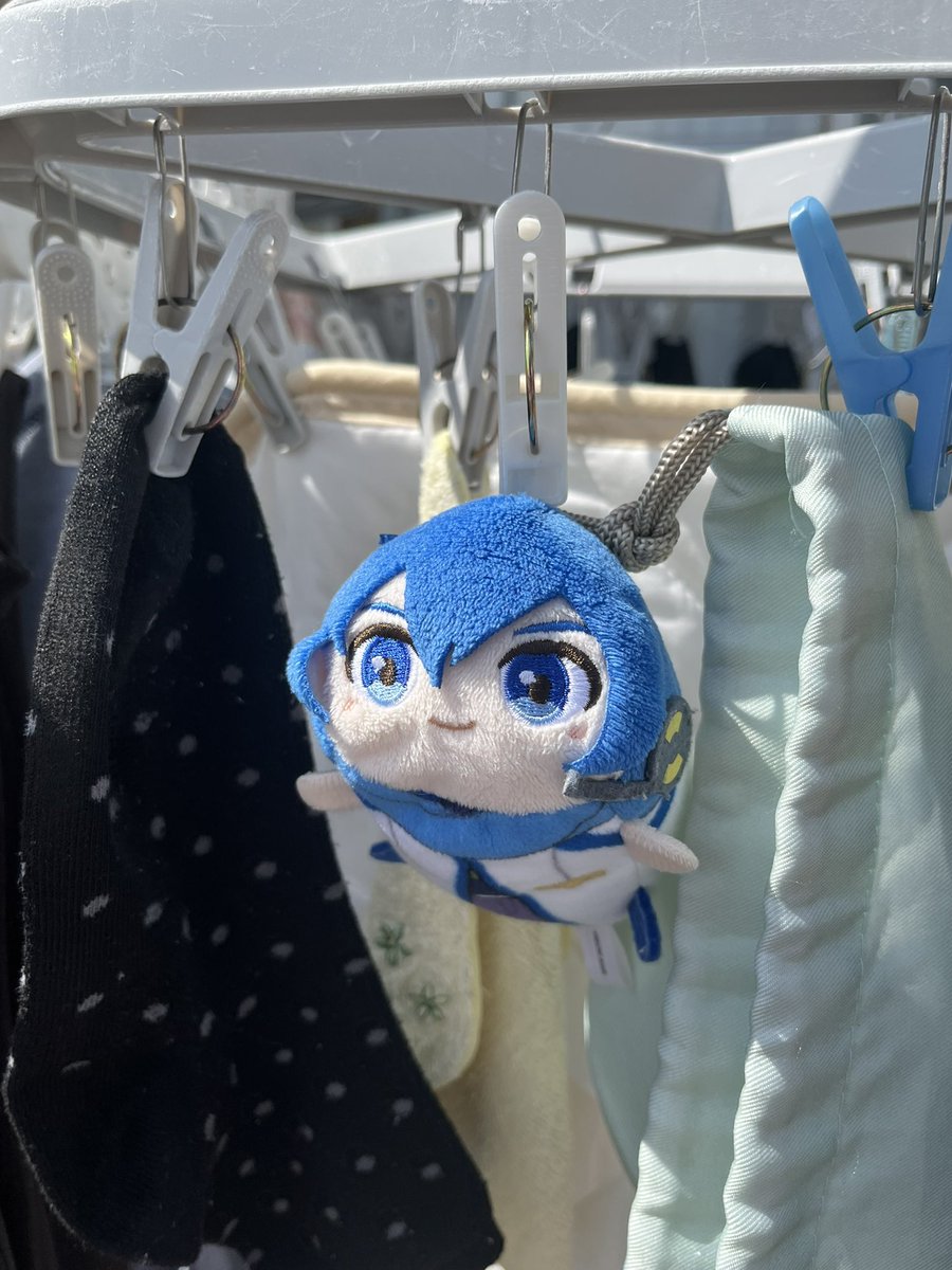 あおあいす tweet media