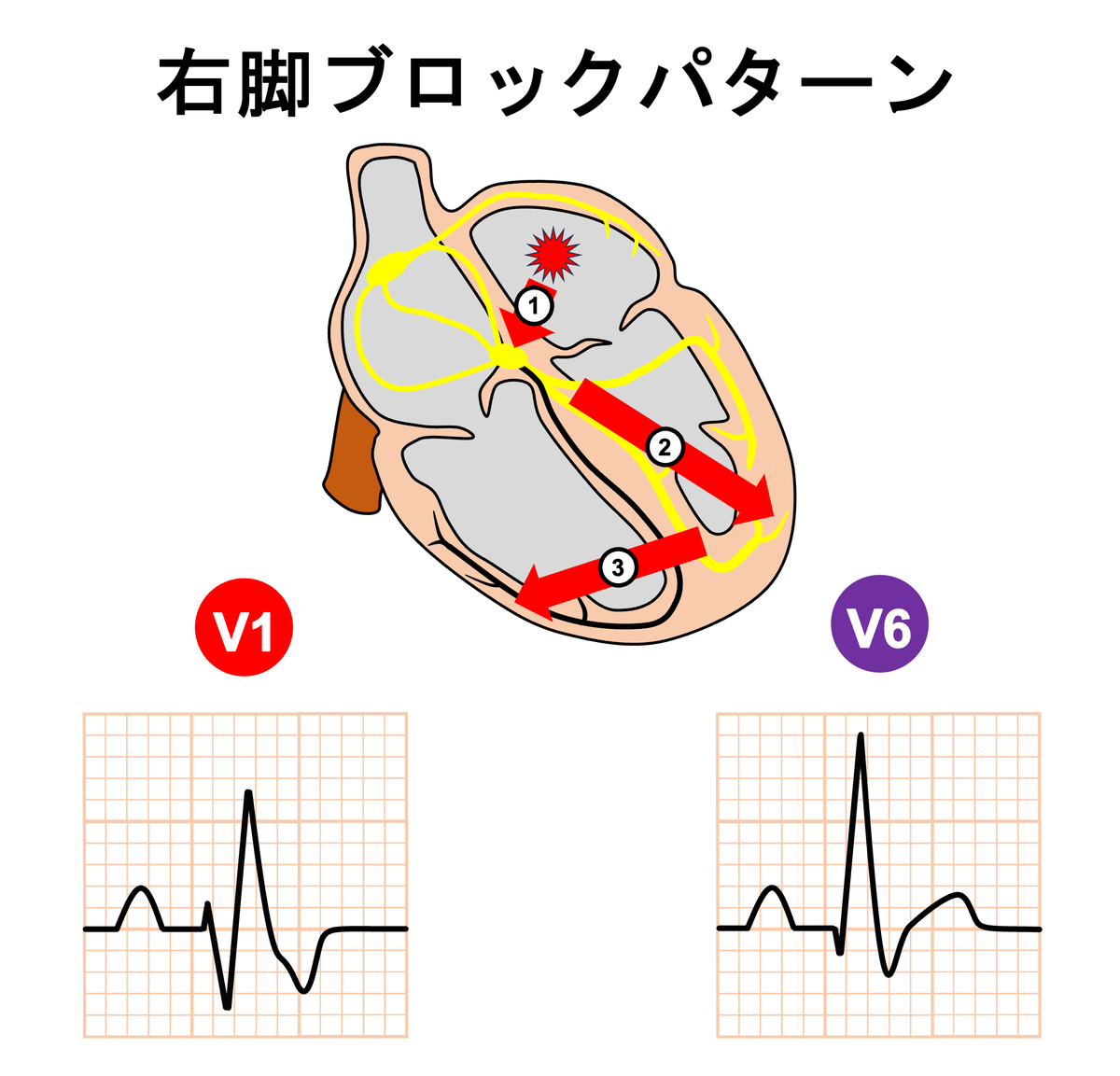 心電図.com tweet media