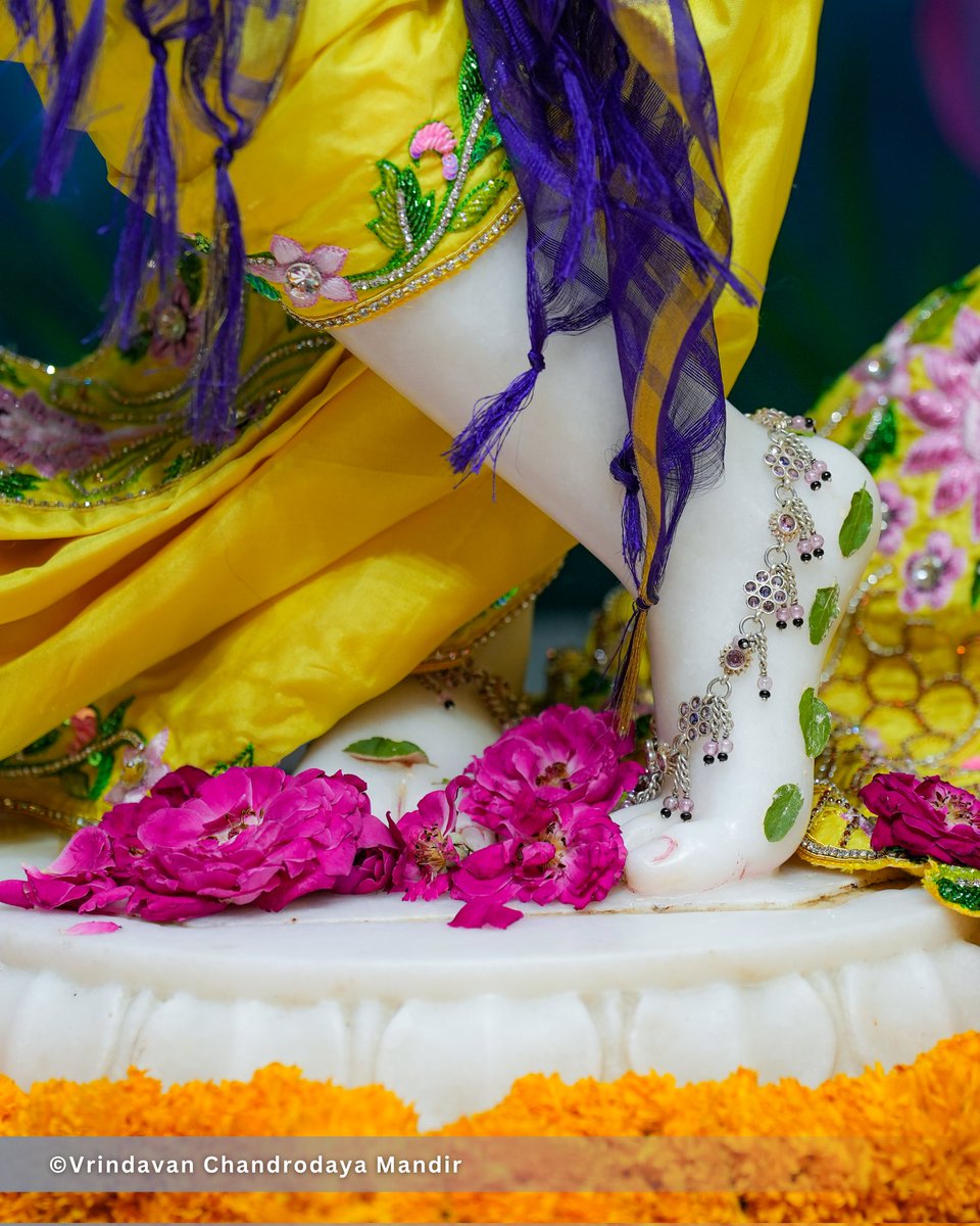 Vrindavan Chandrodaya Mandir tweet media
