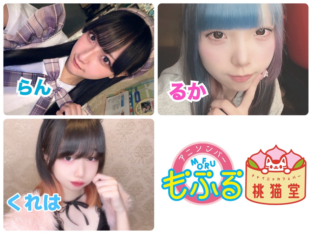 アニソンバーもふる大阪日本橋 ミナミのコンカフェ🎀コンカフェ最大手🎀 tweet media