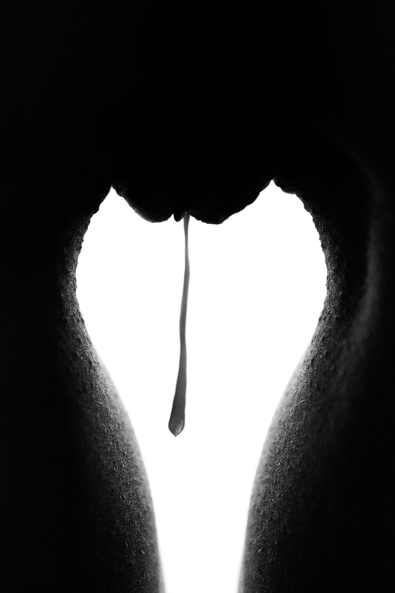 Photographer Stefan 🔞 tweet media