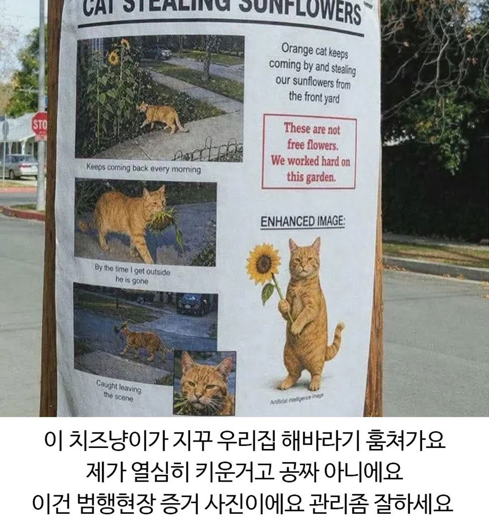 짤주워오는계정 tweet media