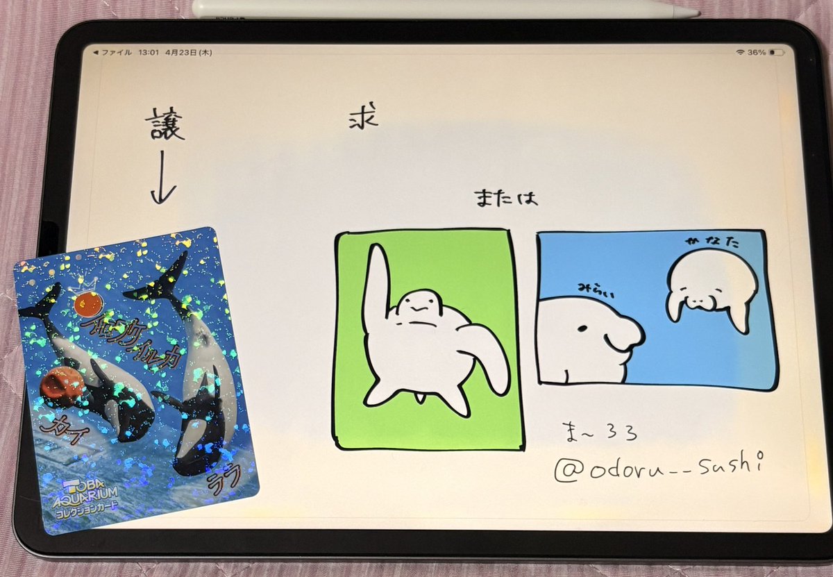 鳥羽水族館 コレクションカード コレカ 交換 譲:イロワケイルカ カイ