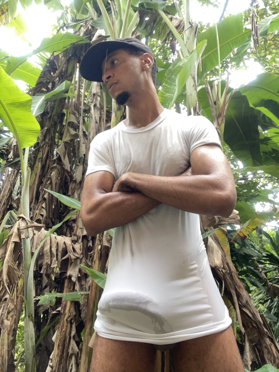 Mateusangeles tweet media