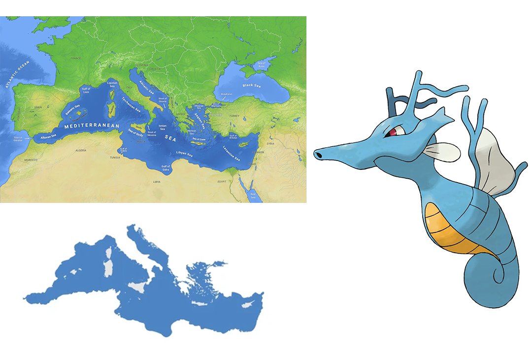 Pokémon Daily Post💫 tweet media