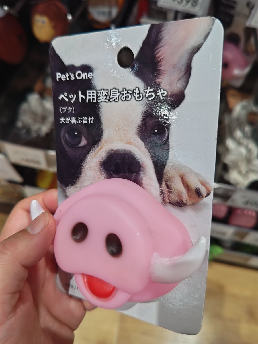 くろねこ tweet media